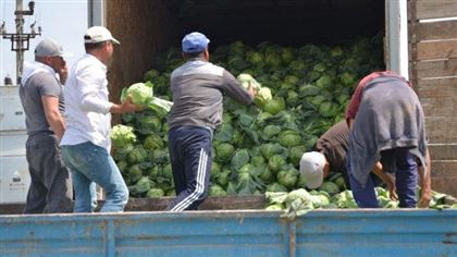 Гуманитарный фонд Дегдар оказал помощь фермерам Туркестанской области