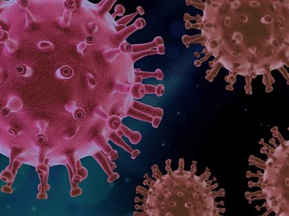 За прошедшие сутки в РК выявлено 218 заболевших человек коронавирусом