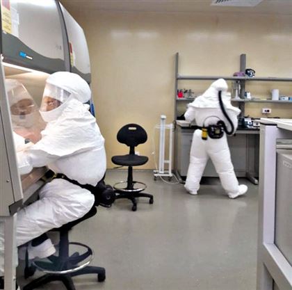Лабораторные мыши получили первую казахстанскую вакцину от коронавируса: что происходит