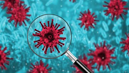Что известно о новых заболевших коронавирусом в Казахстане