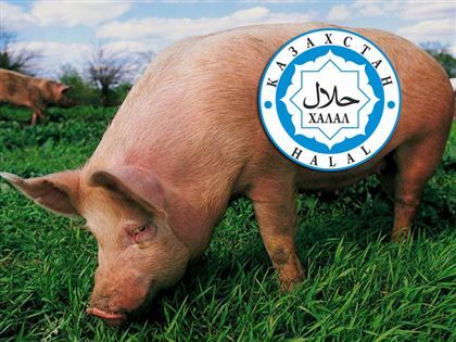 "Наплевали на национальную честь": субсидирование свиноводства в РК вызвало гнев казахскоязычных СМИ