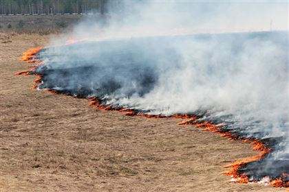 В Карагандинской области вторые сутки тушат степной пожар