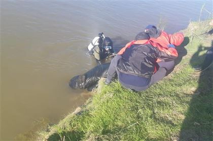 Мужчина утонул в Акмолинской области, спасая девушку