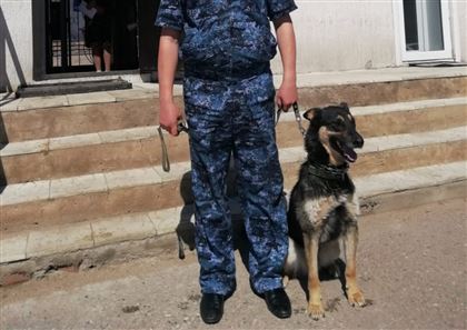 344 преступления раскрыли в Акмолинской области благодаря служебным собакам