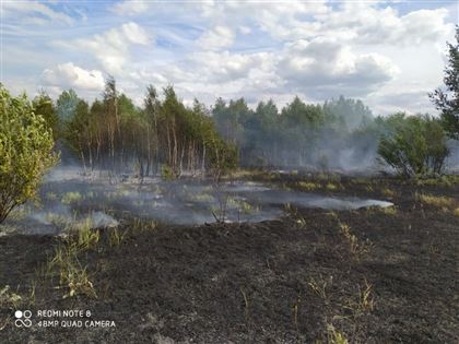 В Костанайской области третий день тушат лесной пожар