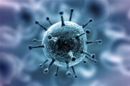 В США ожидают рост числа смертей от коронавируса