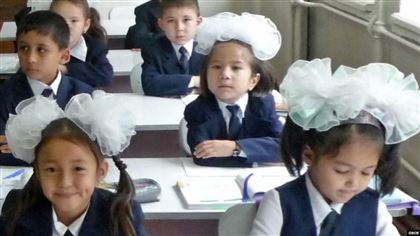 Особые классы организуют для младших школьников в Казахстане