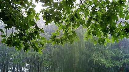 20 июля на большей части РК пройдут кратковременные дожди с грозами