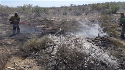 Два крупных природных пожара тушат в Жамбылской области
