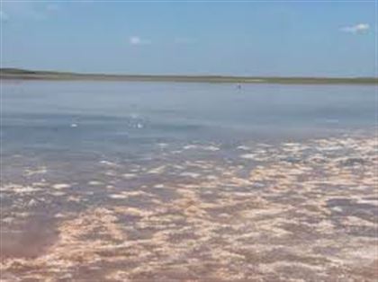 Штрафы грозят продавцам соли с озера Кобейтуз