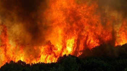 В Сибири снова начались лесные пожары