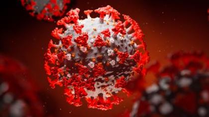 Число зараженных коронавирусом в Италии увеличивается пятый день подряд   