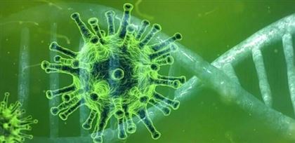 В РК за сутки коронавирусом заболели 1060 человек