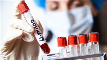 В России подтвердили первый случай повторного заражения коронавирусом