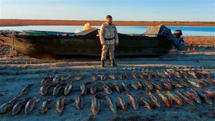 Браконьеров с 245 кг рыбы осетровых пород задержали в Атырауской области
