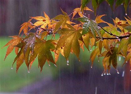 2 октября в РК местами пойдут дожди