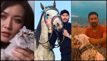 Кошки против собак - кого больше любят казахстанские знаменитости