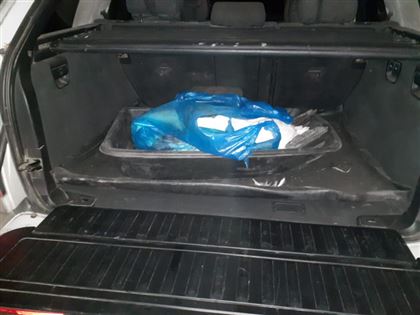 В СКО у мужчины в багажники обнаружили мертвого лебедя