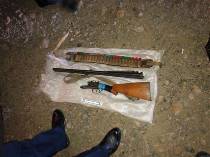 В Кокшетау у мужчины в машине обнаружили четыре туши косули и ружье
