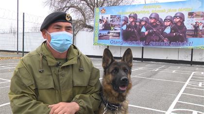 В Капшагайском гарнизоне проходит подготовка служебных собак для различных служб