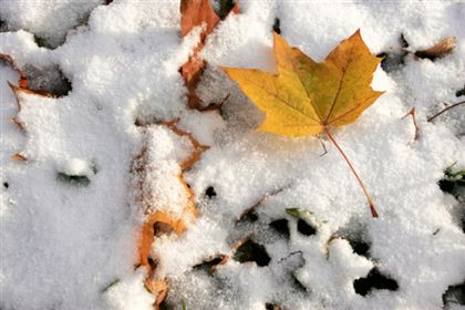 16 ноября в Казахстане ожидается снег, метель и туман