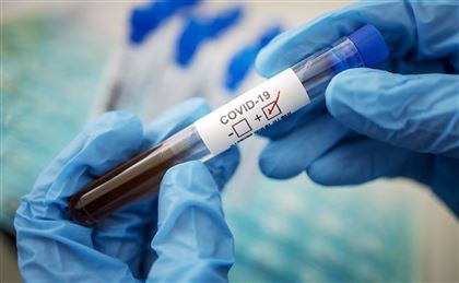 В РК за прошедшие сутки вирусом КВИ заразились 602 человека