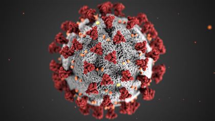 Ученые рассказали о неожиданном способе борьбы с коронавирусом