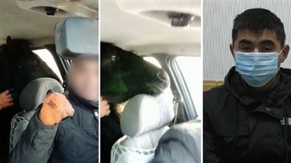 Астанчанина наказали за перевозку жеребенка на заднем сидении авто