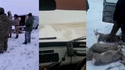 В КНБ опубликовали видео погони за браконьерами  