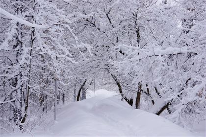 3 декабря местами по республике пройдет снег