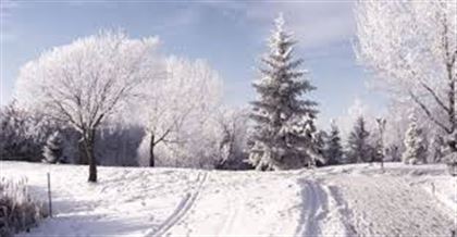 Какая погода ожидает казахстанцев 4 декабря
