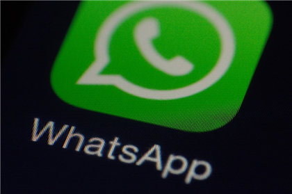 В WhatsApp Web появятся голосовые сообщения и видеозвонки 
