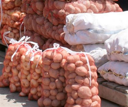 В Акмолинской области построят фабрику по переработке картофеля