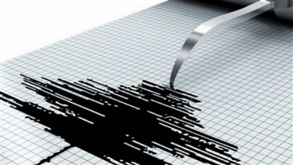 На юго-западе от Алматы произошло землетрясение магнитудой 4,8