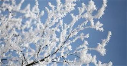 Какая погода ожидает казахстанцев 8 января