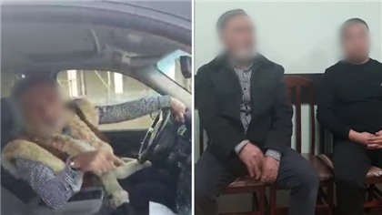 В Туркестанской области мужчина выехал на встречку и обругал водителя