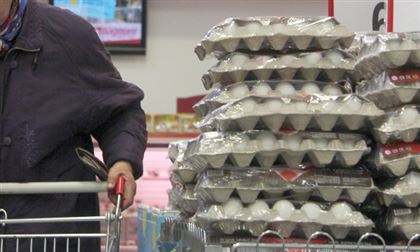 На 85 процентов сократилось производство куриных яиц в Мангистауской области 