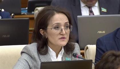 Д. Нурманбетова: Считаю, что законопроект о противодействии семейно-бытовому насилию возможно отозвать и доработать