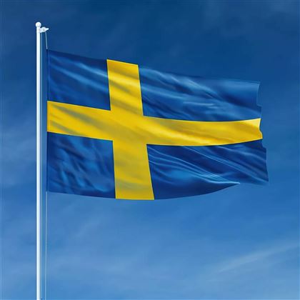 Почему Швеция радушнее принимает казахов, чем Казахстан - КазСМИ