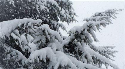 27 января в Казахстане ожидается снег, метель и гололед