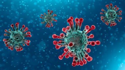 Ученые Турции разработали спрей, уничтожающий коронавирус