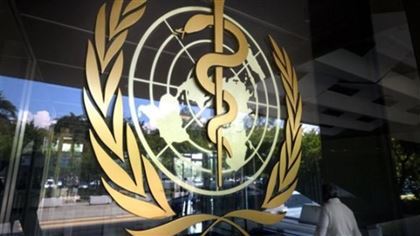 О новой пандемии из-за вируса Nipah предупреждает ВОЗ