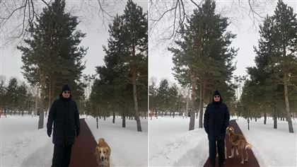 Фото прогулки Токаева с собаками появились в Сети 
