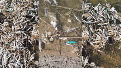 В Минэкологии прокомментировали ситуацию со свалкой медицинских отходов близ Капшагая