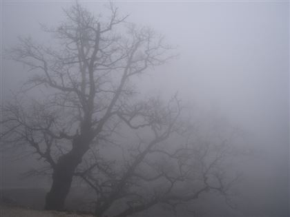 29 марта местами по республике ожидаются туман, гололед и усиление ветра