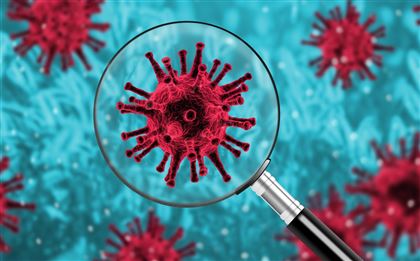 Британский и бразильский штаммы коронавируса выявлены почти во всех регионах страны 