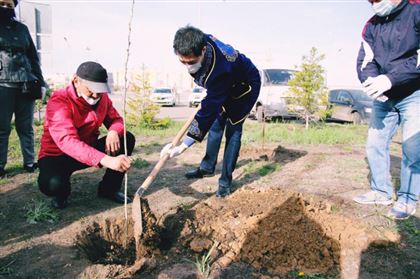 В ЗКО посадили деревья в день единства народов