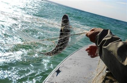 Атырауские общественники не верят в безопасность работ на шельфе Каспийского моря