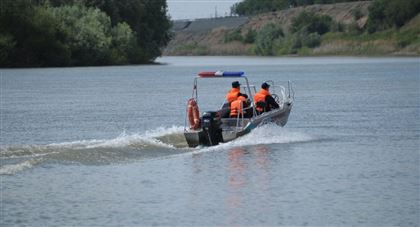 В Павлодарской области спасатель вытащил из реки тонувшую девочку