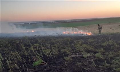 Сухая трава загорелась в Бородулихинском районе